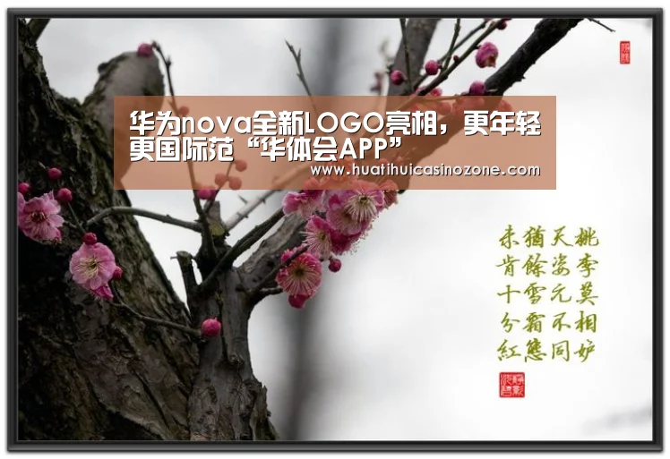 华为nova全新LOGO亮相,更年轻更国际范“华体会APP”(图4) 华体会APP